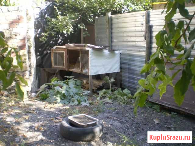 Клетка Ставрополь - изображение 1