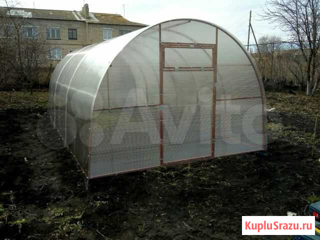 Теплица Ромоданово - изображение 1