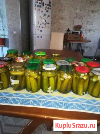 Маринованные огурчики Краснокамск - изображение 1