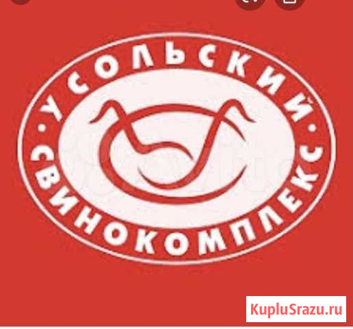 Готовый бизнес продуктовый магазин Иркутск - изображение 1