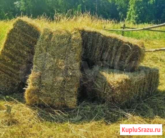 Сено Покровское - изображение 1