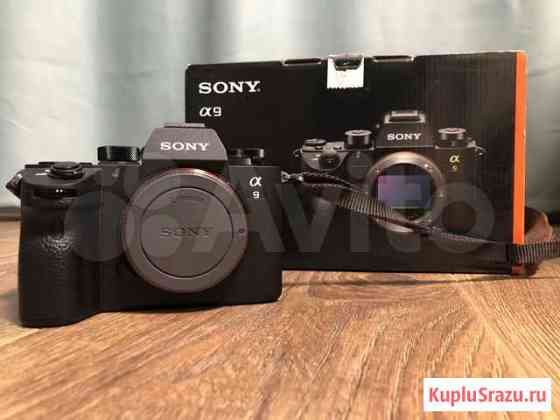 Sony a9 ilce-9 - Пробег всего 3707 кадров Киров