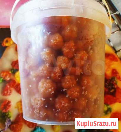 Морошка свежезамороженная Санкт-Петербург - изображение 1