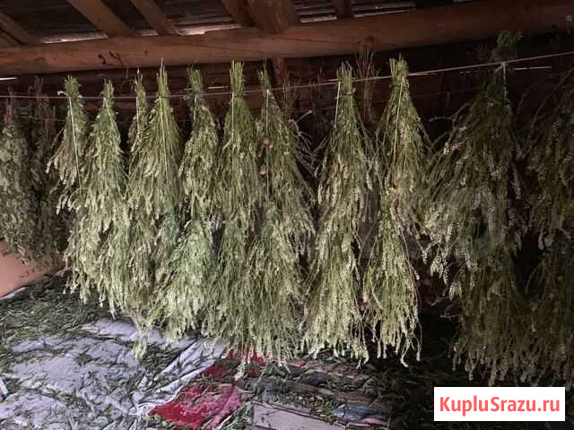 Травы для бани Светлогорск Донское Янтарный Донское - изображение 1