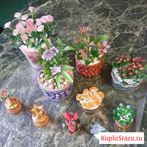 Цветы для кукольных домиков Казань - изображение 1