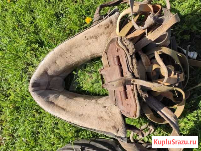 Сбруя конская Калуга - изображение 1