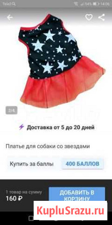 Платье для собак Карабаш - изображение 1