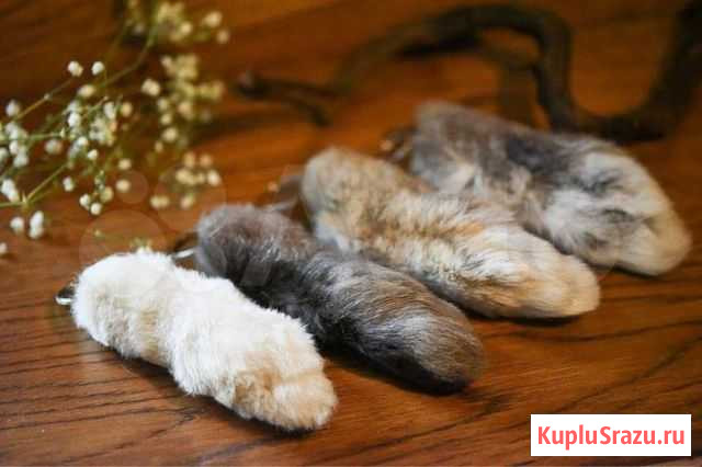 Лапки кролика Стерлитамак - изображение 1