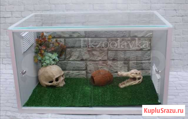 Террариумы для эублефара, бородатой агамы, змеи, п Астрахань - изображение 1
