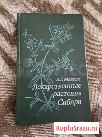 Лекарственные растения Псков - изображение 1