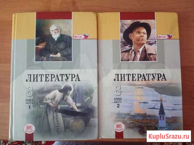 Продам учебники по литературе 8 класс Курск - изображение 1