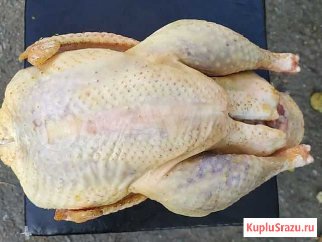Мясо Индейки Сочи - изображение 1