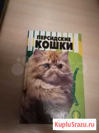 Книга Персидские кошки Каневская - изображение 1