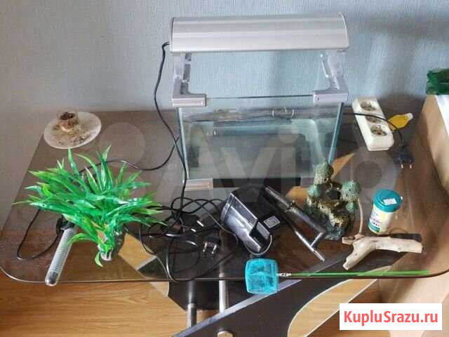 Аквариум 10л + все аксесуары Краснодар - изображение 1
