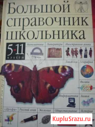 Большой справочник школьника Георгиевск - изображение 1
