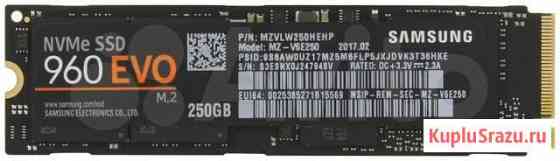Samsung EVO 960 250GB Дербент
