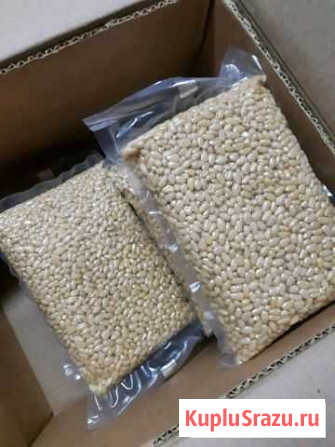Орех кедровый Екатеринбург - изображение 1