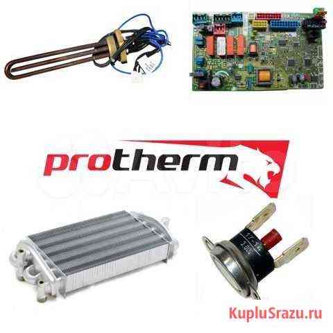 OEM запчасти на газовый котел Protherm Чебоксары