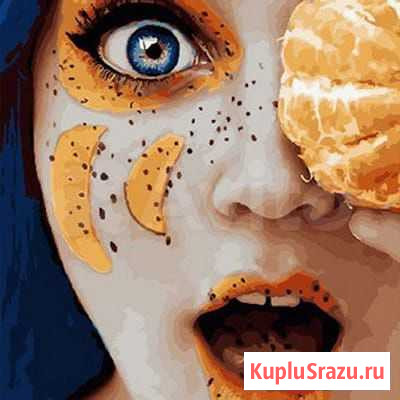 Мандариновое настроение 40*50 см картина по номера Красноярск - изображение 1