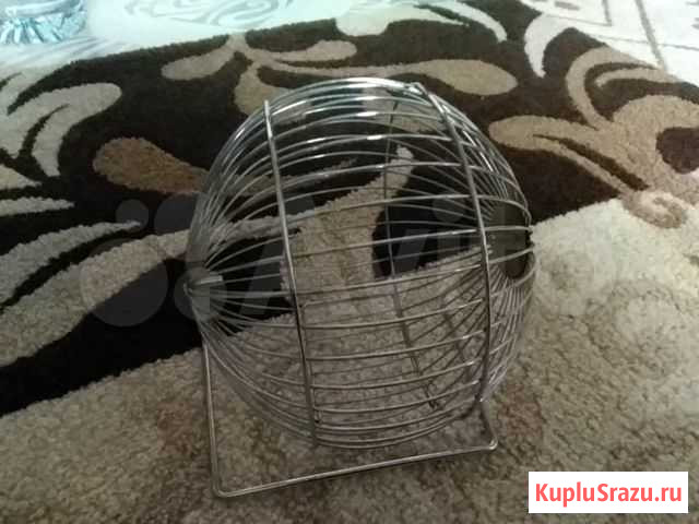 Колесо для хомяка Саратов - изображение 1