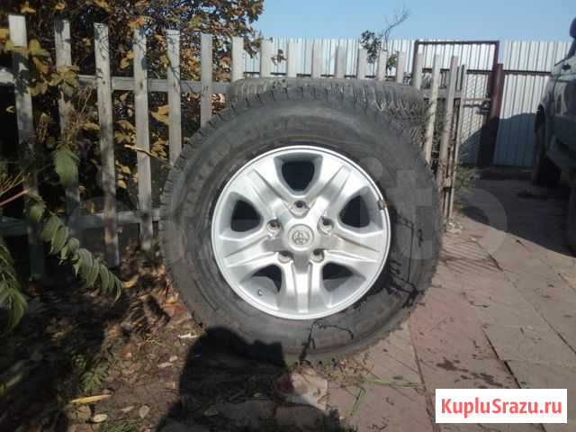 Колеса Курган - изображение 1