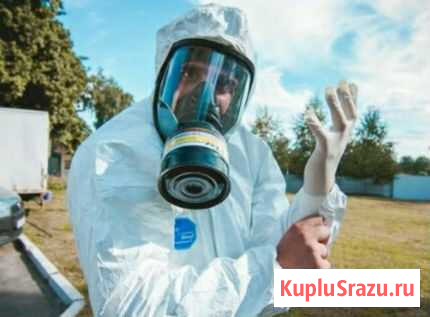Уничтожу клопов тараканов крыс Пермь - изображение 1