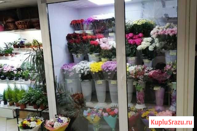 Цветочный магазин / Доход 30000 Санкт-Петербург - изображение 1