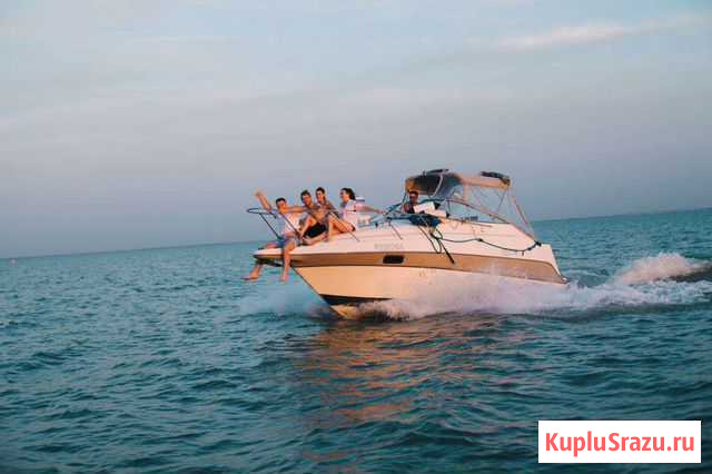Катер maxum 2400 SCR Краснодар - изображение 1
