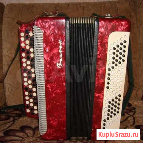 Баян Восток Инта - изображение 1