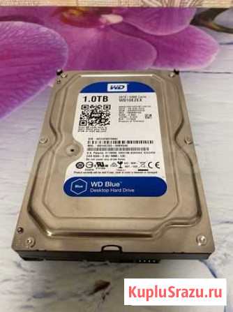 Жесткий диск WD10ezex Санкт-Петербург - изображение 1