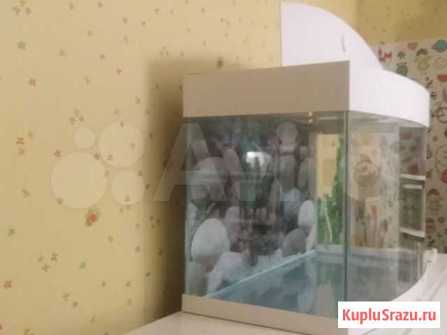 Аквариум Подольск - изображение 1