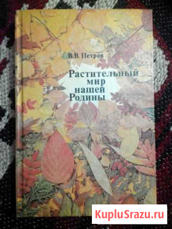 Растительный мир нашей Родины Рыбинск - изображение 1