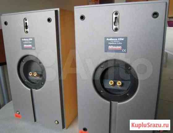 Dynaudio Audience 42W Санкт-Петербург
