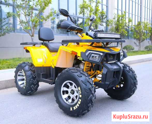 Квадроцикл Motoland Wild Track X 200 Красноярск - изображение 1