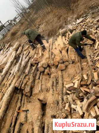 Дрова березовые с доставкой Гарболово - изображение 1