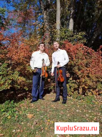 Дуэт скрипачей Екатеринбург - изображение 1