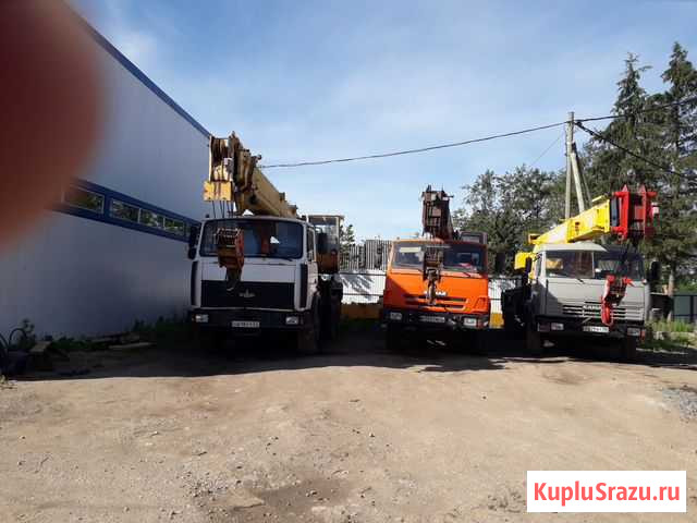 Услуги Аренда автокрана 25,32,50 тонны Гатчина - изображение 1