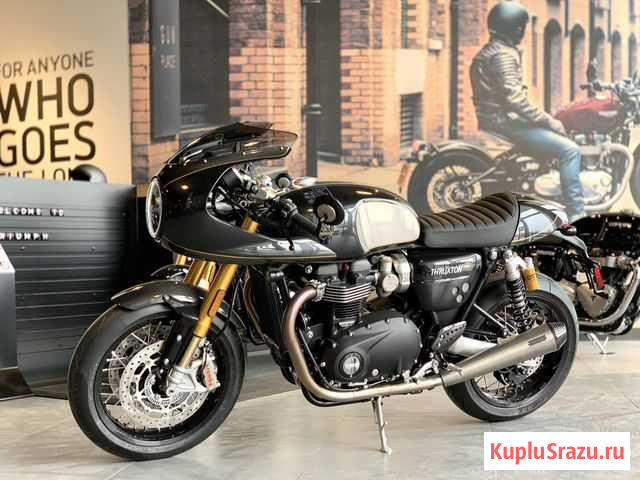 Triumph Thruxton TFC Новосибирск - изображение 1