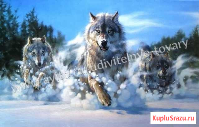 Картины по номерам Чита - изображение 1
