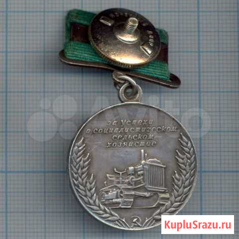 Большая серебряная медаль всхв. Серебро Солнцево - изображение 1