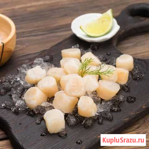 Морской гребешок Белгород - изображение 1