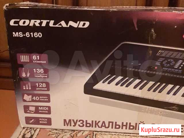 Синтезатор Бронницы - изображение 1