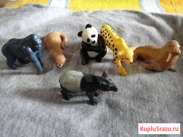 Киндер животные Брянск - изображение 1
