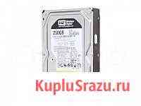 Western Digital WD2502abys Новосибирск
