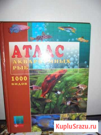 Атлас Рыбинск - изображение 1