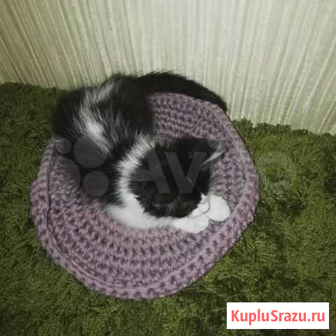 Лежанка Пенза - изображение 1