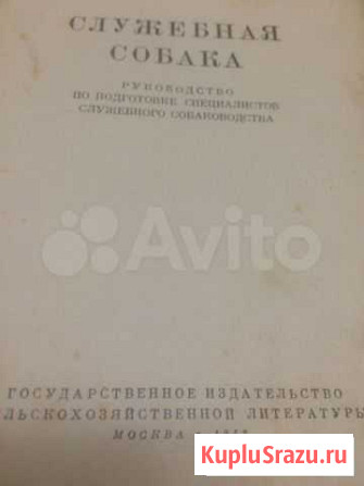 Служебная собака Белгород - изображение 1