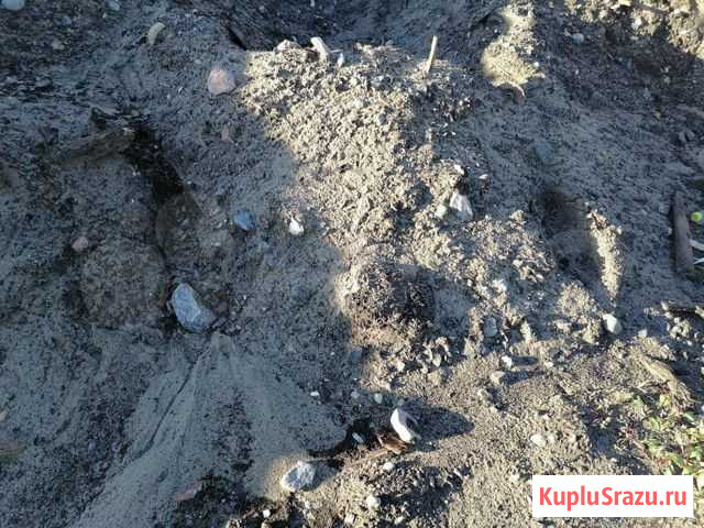 Грунт,бой кирпича Архангельск - изображение 1