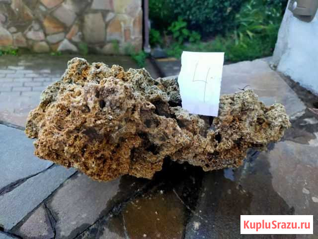 Камни для аквариума Краснодар - изображение 1