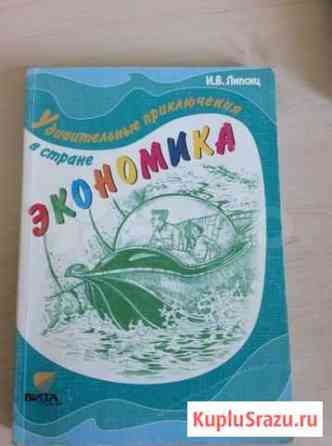 Книга удивительные приключения в стране экономика Волгоград